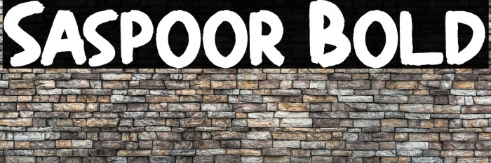 Saspoor Bold Example 1