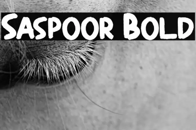 Saspoor Bold Font examples