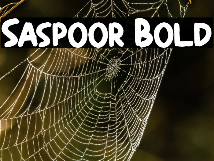 Saspoor Bold Example 3