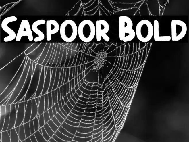 Saspoor Bold Font examples