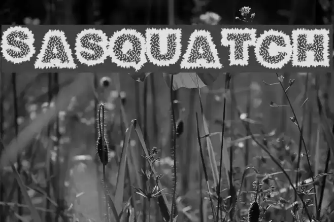 Sasquatch フォント examples