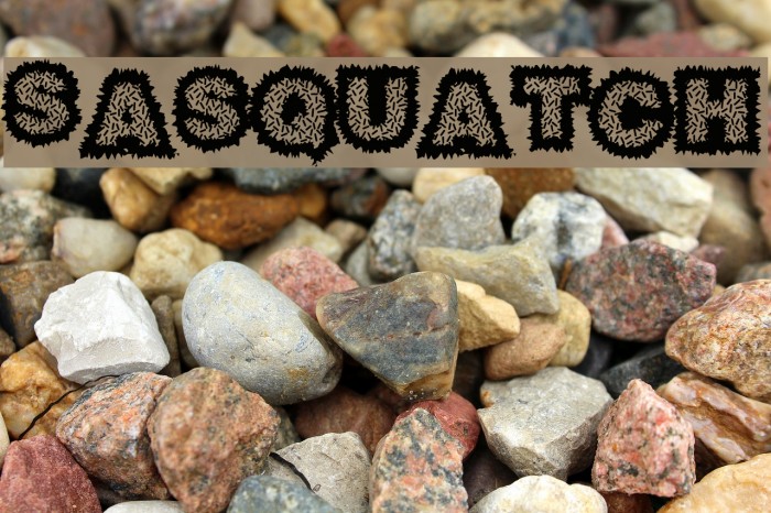 Sasquatch Font examples