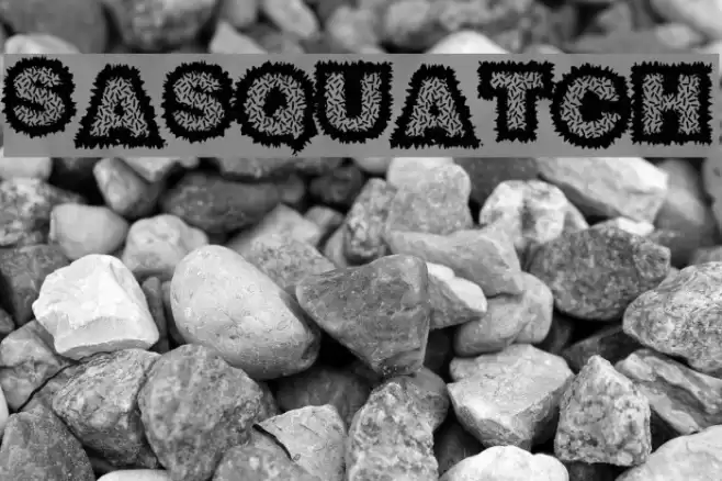 Sasquatch フォント examples