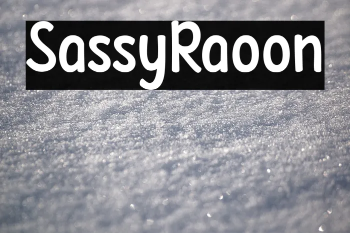 Sassy Raccoon Example 2