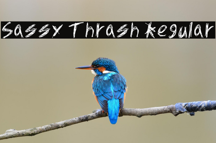 Sassy Thrash Regular Example 3