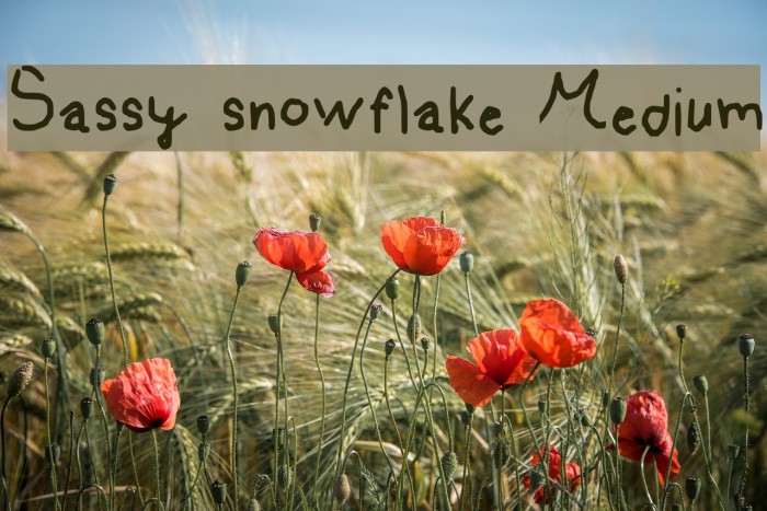 Sassy snowflake Medium Example 1