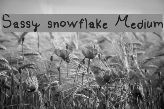 Sassy snowflake Medium Font examples