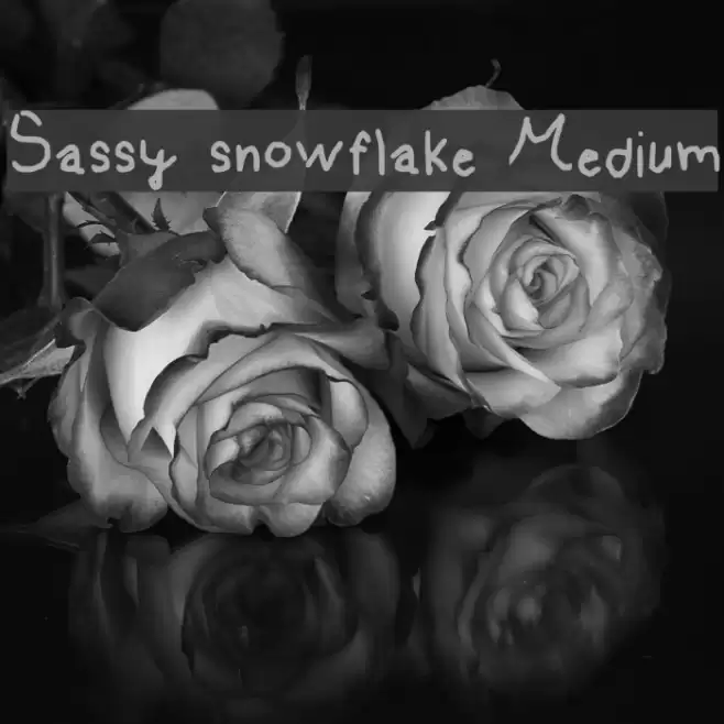 Sassy snowflake Medium Font examples