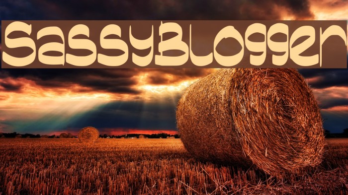 SassyBlogger Example 1