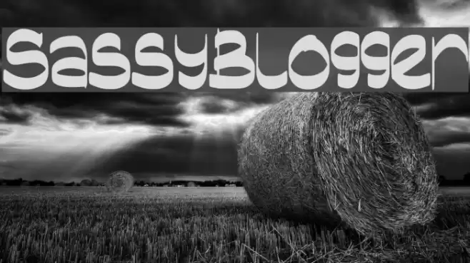 SassyBlogger Font examples