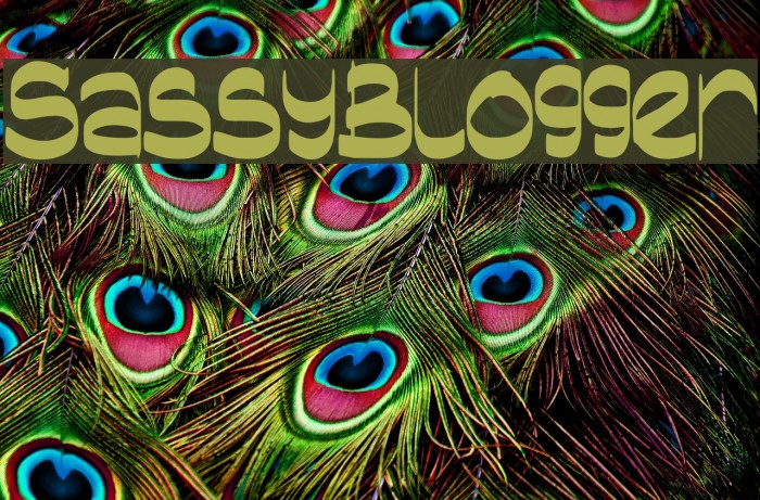 SassyBlogger Example 2