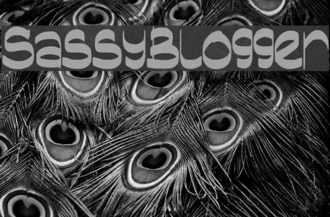 SassyBlogger Font examples