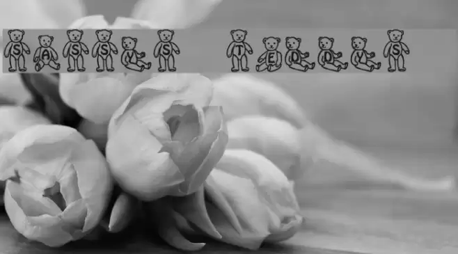 Sassys Teddys 1 Font examples