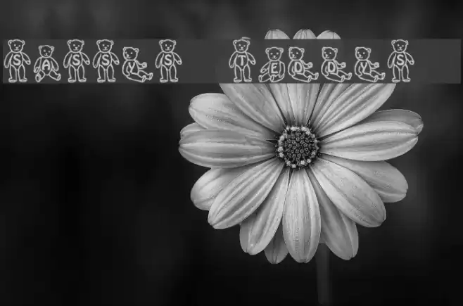 Sassys Teddys 1 Font examples