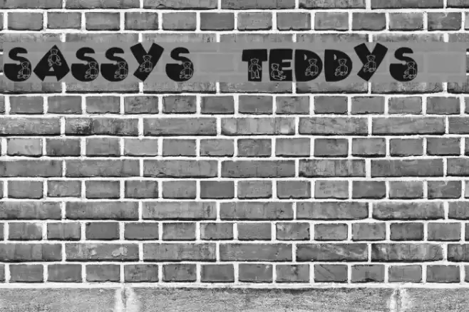 Sassys Teddys 2 Font examples