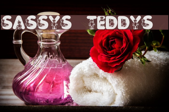 Sassys Teddys 3 Font examples