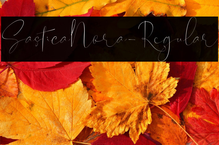 SasticaNora-Regular Example 1