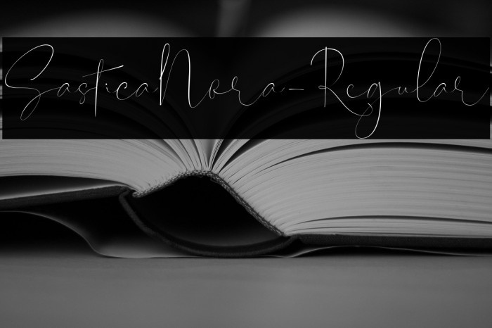 SasticaNora-Regular Example 2