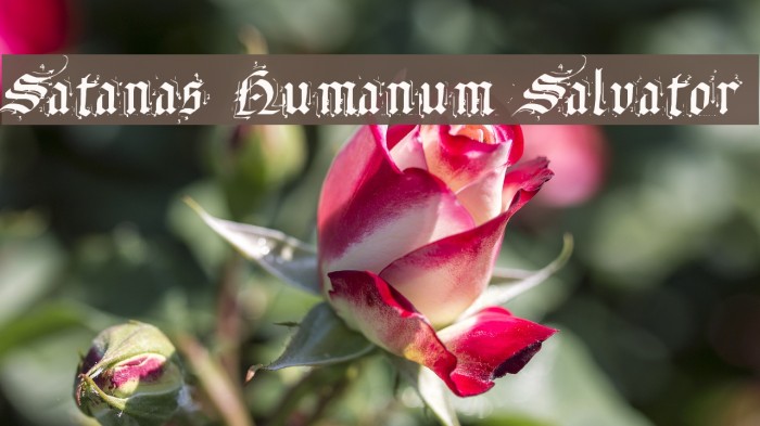 Satanas Humanum Salvator Font examples