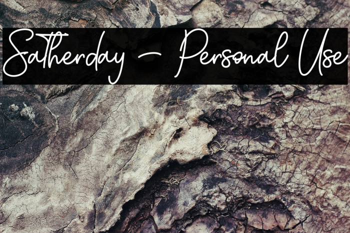 Satherday - Personal Use Example 1