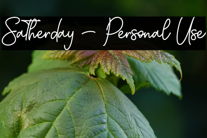 Satherday - Personal Use Example 2