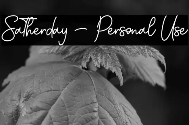 Satherday - Personal Use Font examples