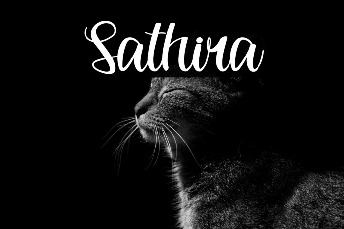 Sathira Example 3