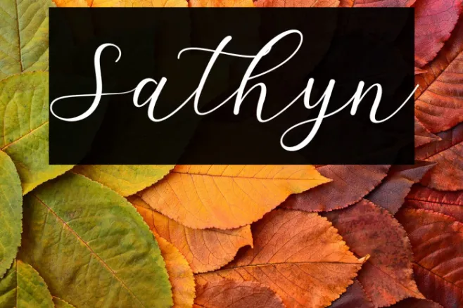Sathyn Example 1