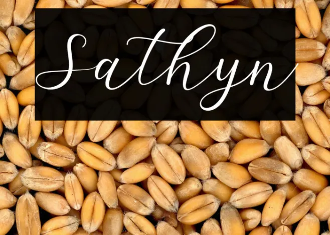 Sathyn Example 2