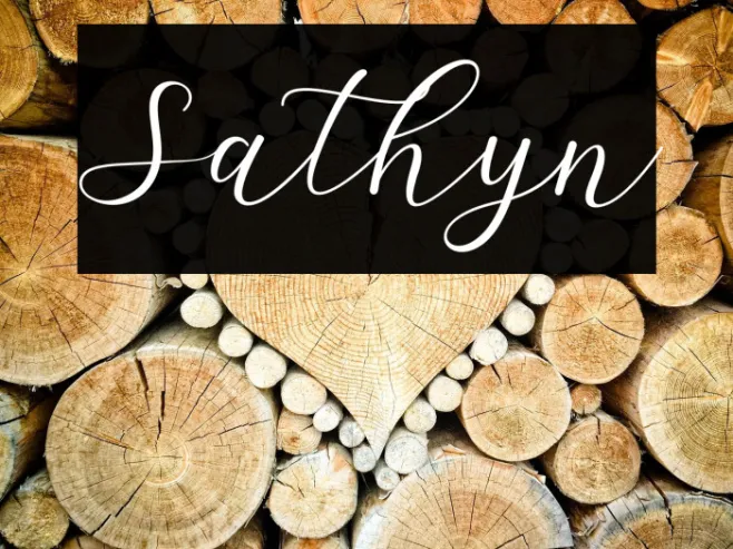 Sathyn Example 3