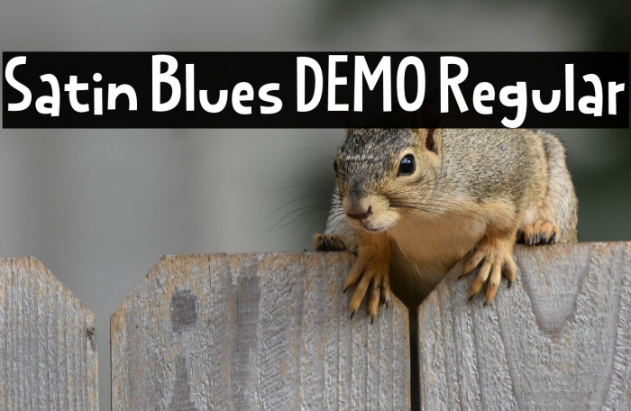 Satin Blues DEMO Regular Example 2