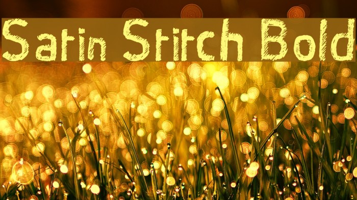 Satin Stitch Bold Font examples