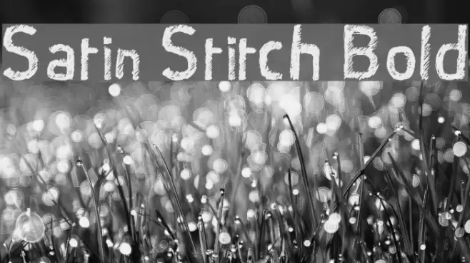Satin Stitch Bold Font examples