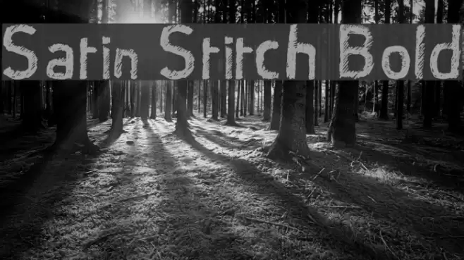 Satin Stitch Bold Font examples