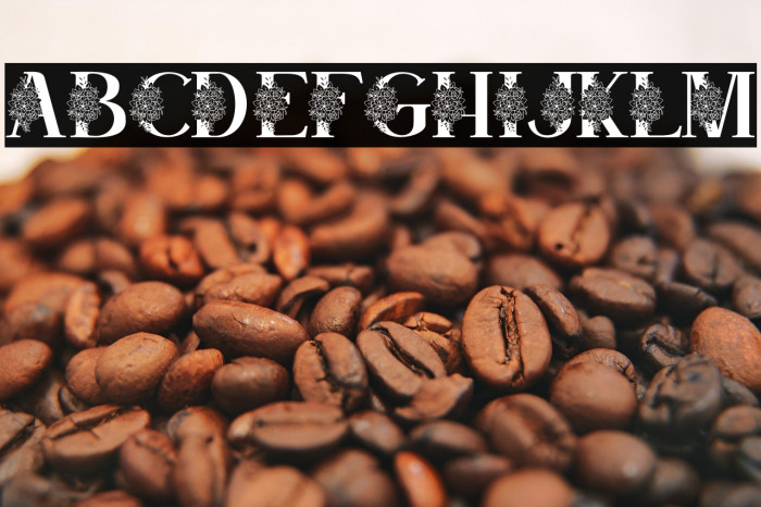 Satine Personal Use Example 2