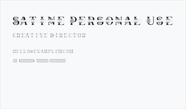 Satine Personal Use Business Card