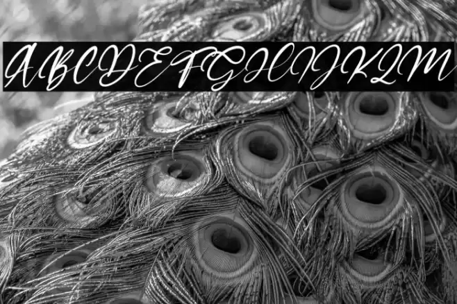 Satisfield Italic Font examples