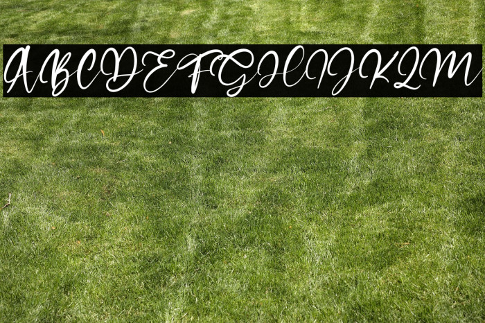 Satisfield Example 3