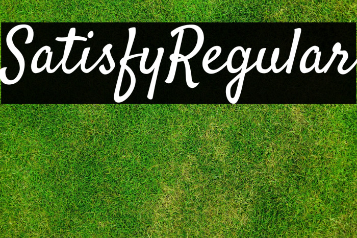 Satisfy Regular Example 3