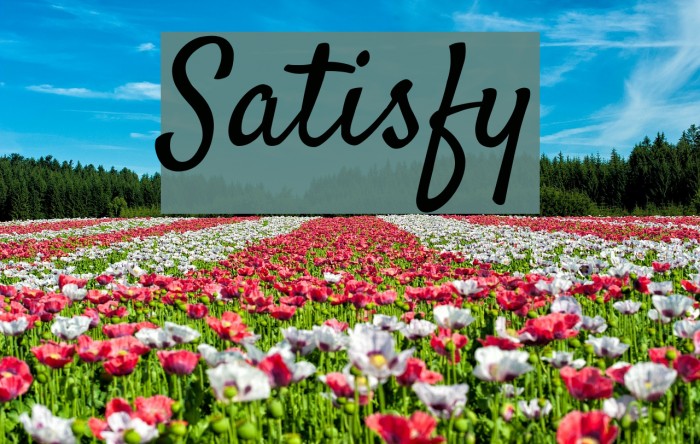 Satisfy Polices examples