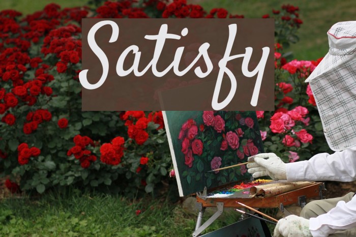 Satisfy Polices examples
