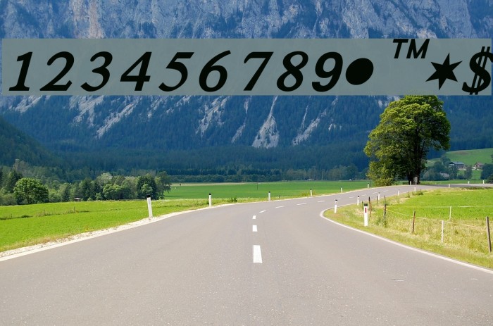 Satluj BoldItalic Font examples