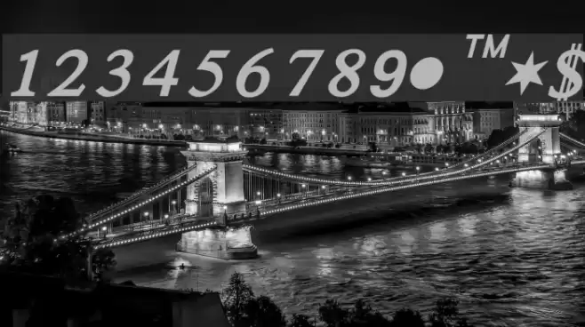 Satluj BoldItalic Font examples