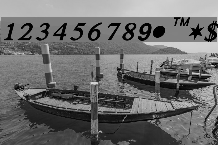 Satluj BoldItalic Font examples