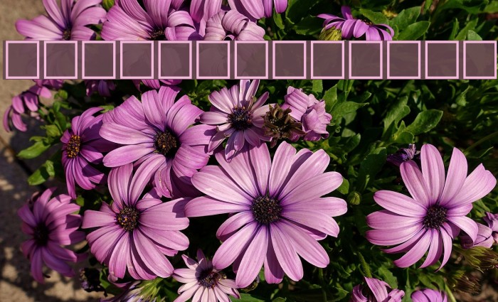 SatlujA Font examples
