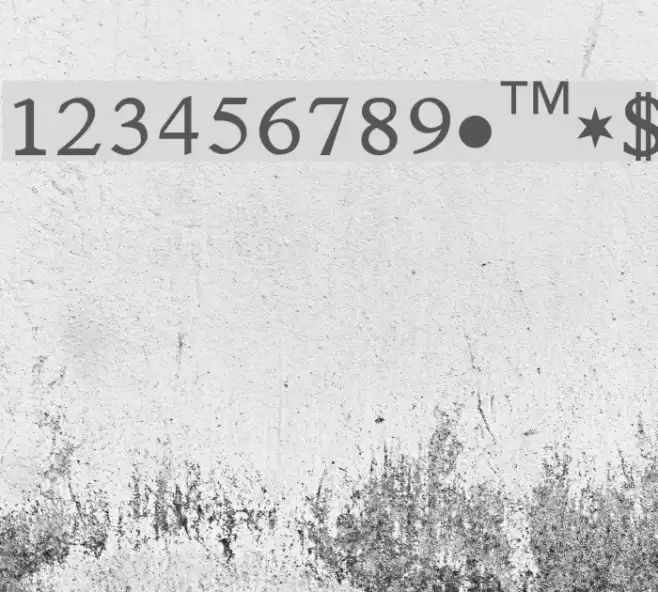 Satluj Font examples