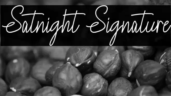 Satnight Signature Font examples