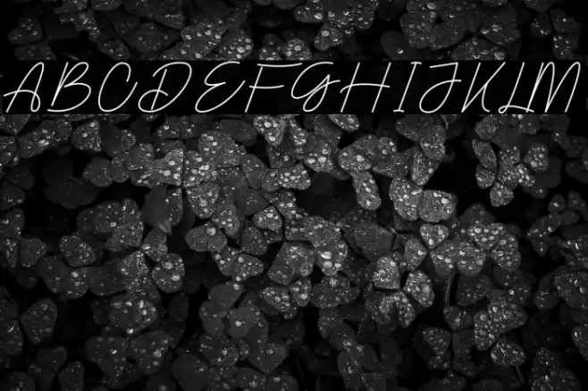 Satomy Polices examples