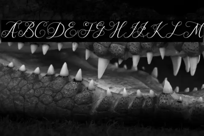 Satriana Font examples