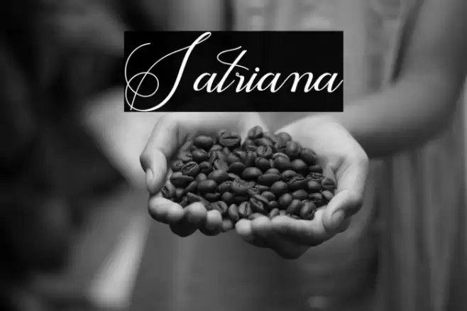 Satriana Font examples